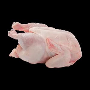 Bild Chicken Meat