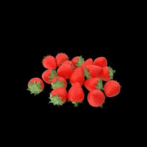 Bild Strawberry