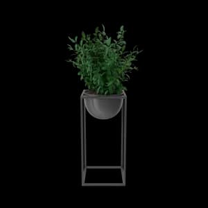 Bild House Showpiece Plant