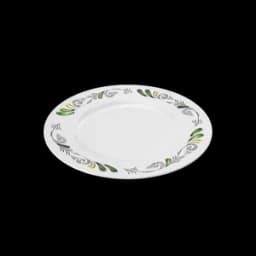 Plate