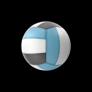Bild Volleyball
