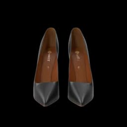 Black & Brown Slipper