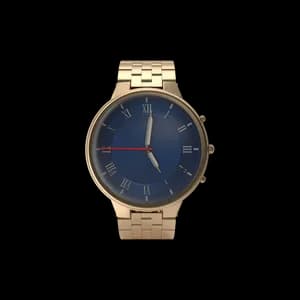Bild Watch Gold for Women